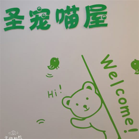 圣宠宠物猫舍:长沙市天心区友阿奥特莱斯附近