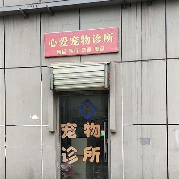 狗狗+诊所心爱宠物诊所:长沙市天心区黄土岭附近