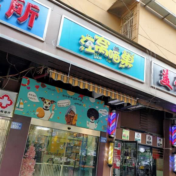 汪窝喵巢:长沙市天心区劳动广场/书院路附近
