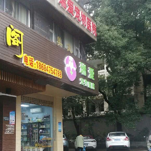 瑞爱宠物医院:长沙市天心区劳动广场/书院路附近