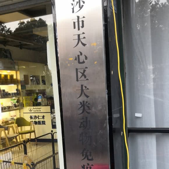 长沙市天心区犬类动物免疫点:长沙市天心区新开铺附近