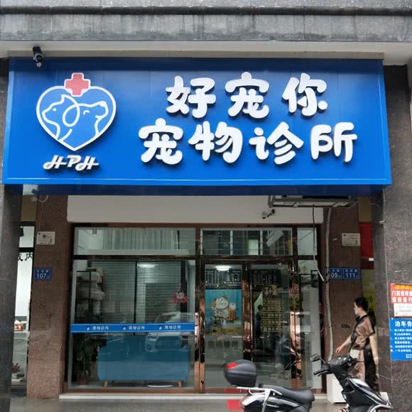 好宠你宠物诊所:长沙市天心区新省政府附近