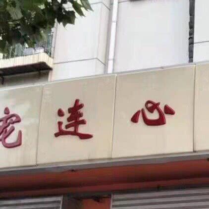 宠连心宠物医院:天津城区西青区中北镇附近
