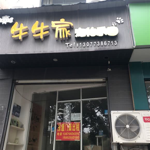 牛牛家宠物乐园:长沙市岳麓区河西大学城附近