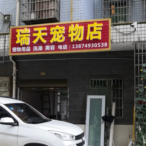 瑞天宠物店:长沙市岳麓区桐梓坡附近