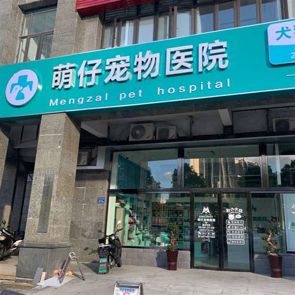 萌仔宠物医院(恒大华府店):长沙市岳麓区银盆岭附近
