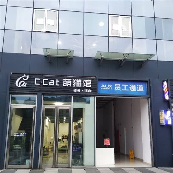 C·CAT猫舍猫咖:长沙市岳麓区咸嘉新村/商学院附近