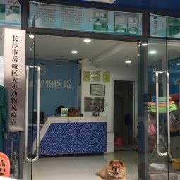康贝佳宠物医院(未来城店):长沙市岳麓区麓谷附近