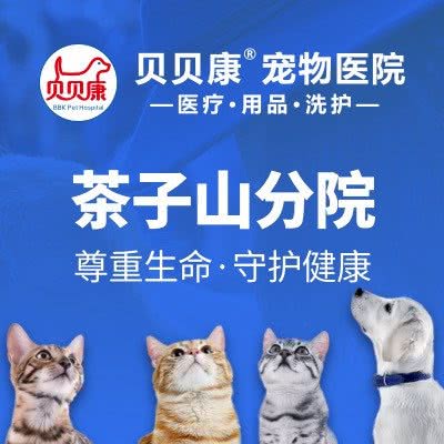 贝贝吉宠物医院:长沙市岳麓区观沙岭/茶子山附近