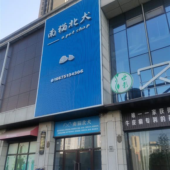 蓝猫北犬宠物店:长沙市岳麓区涉外经济学院附近