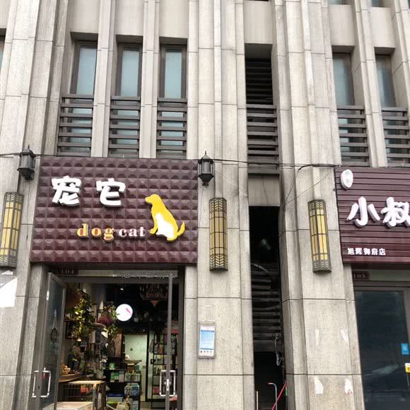 宠它:长沙市岳麓区涉外经济学院附近