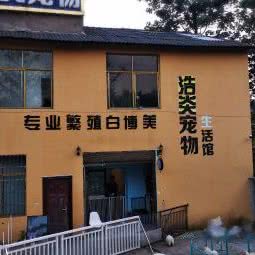 浩炎宠物生活馆:长沙市岳麓区涉外经济学院附近