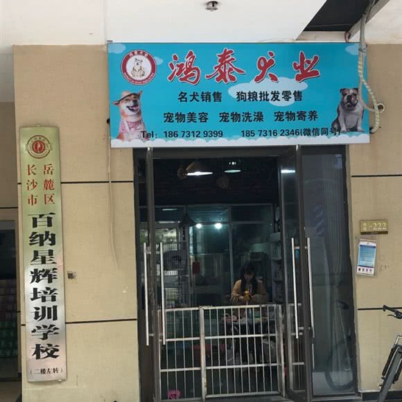 鸿泰犬业:长沙市岳麓区涉外经济学院附近