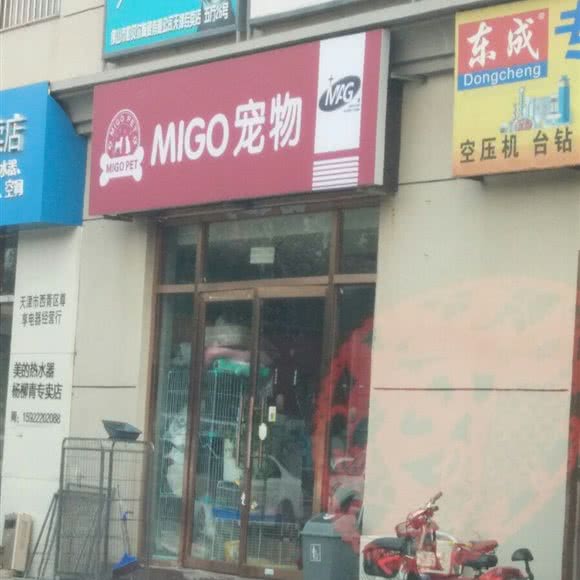 MIGO宠物:天津城区西青区杨柳青附近