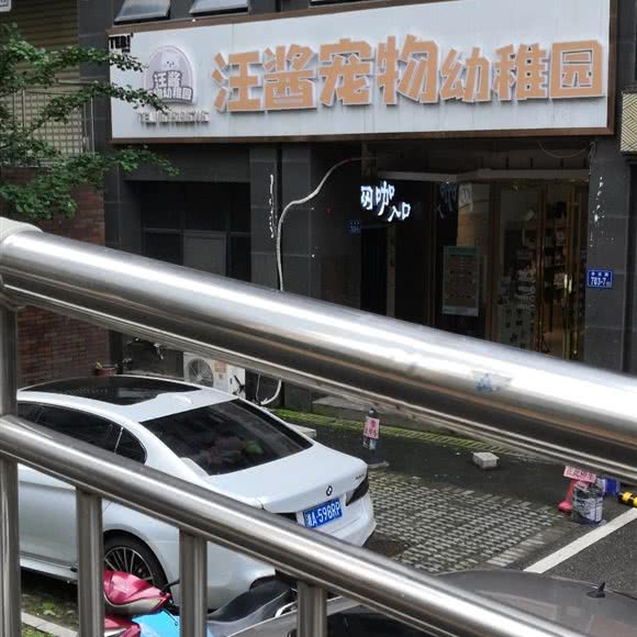 汪酱狗狗幼稚园:长沙市岳麓区市政府附近