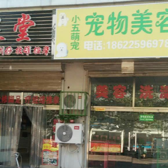 小五宠物美容:天津城区西青区杨柳青附近