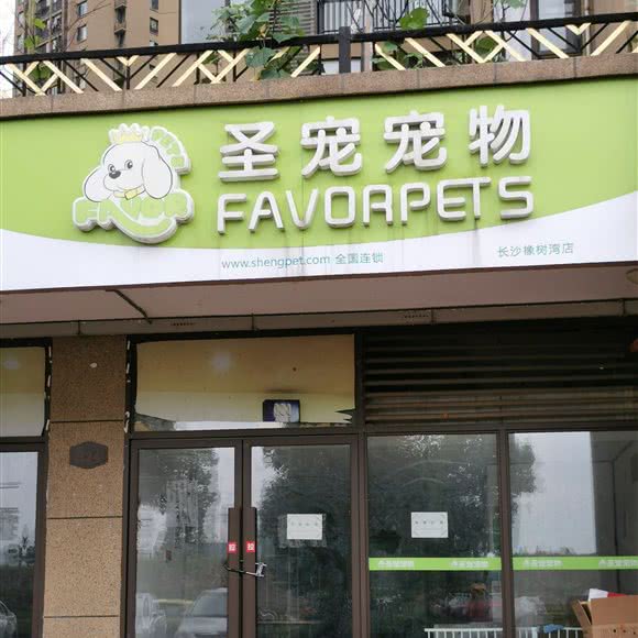 圣宠宠物:长沙市岳麓区含浦附近