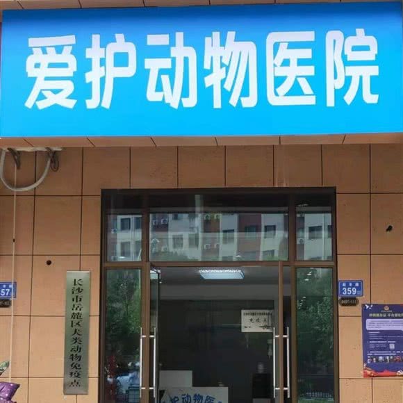 爱护动物医院:长沙市岳麓区含浦附近
