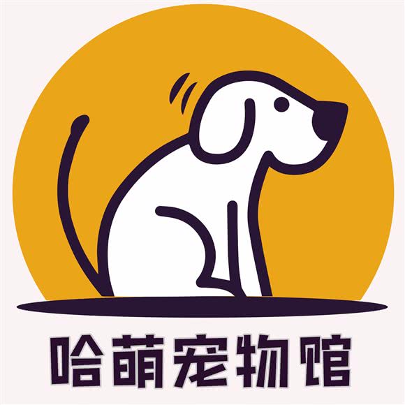 哈萌宠物:长沙市岳麓区洋湖新城附近