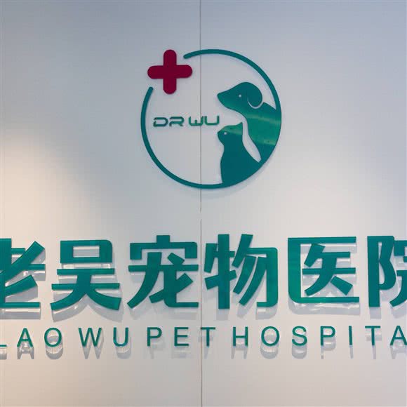 老吴宠物医院:长沙市岳麓区河西王府井/步步高附近