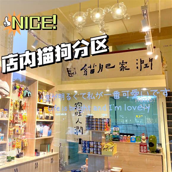 宅宠社PET CLUB:长沙市开福区北辰三角洲附近