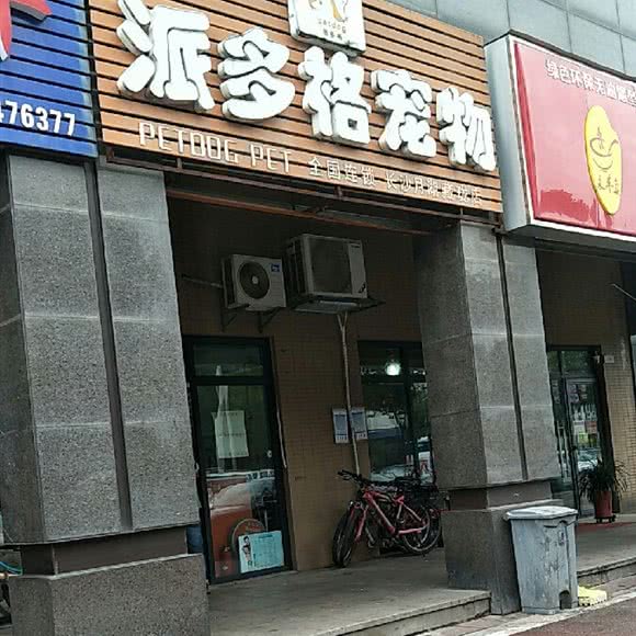 派多格宠物狗:长沙市开福区月湖公园/长沙大学附近