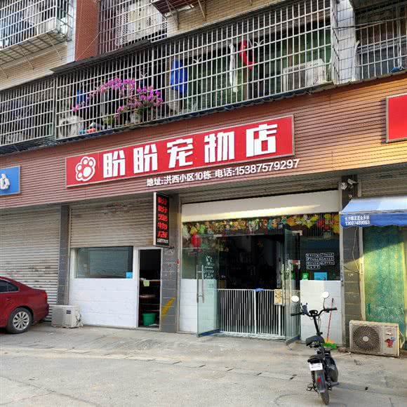 盼盼宠物店:长沙市开福区月湖公园/长沙大学附近