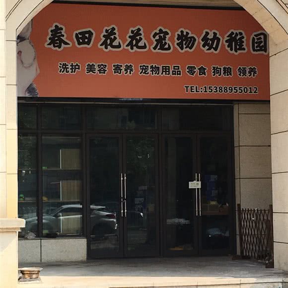 春田花花宠物幼稚园:长沙市开福区月湖公园/长沙大学附近