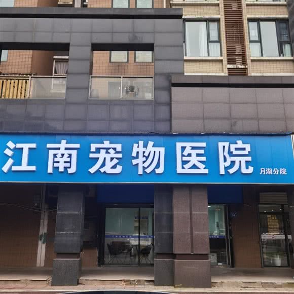 江南宠物医院(月湖分院):长沙市开福区月湖公园/长沙大学附近