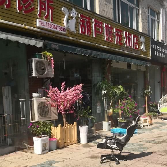 葫芦娃狗狗诊所:长沙市开福区湘江世纪城附近