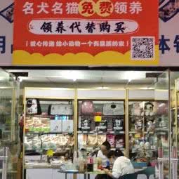 维多爱宠物用品店:长沙市开福区四方坪附近