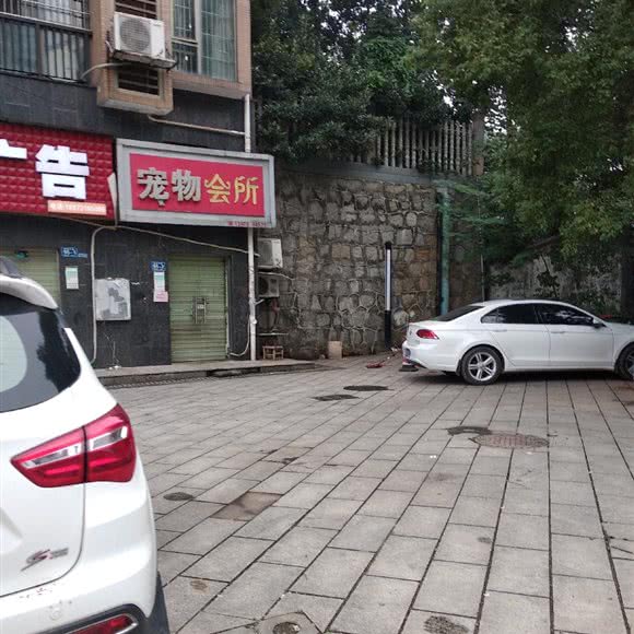 宠物会所:长沙市雨花区红星国际会展中心附近