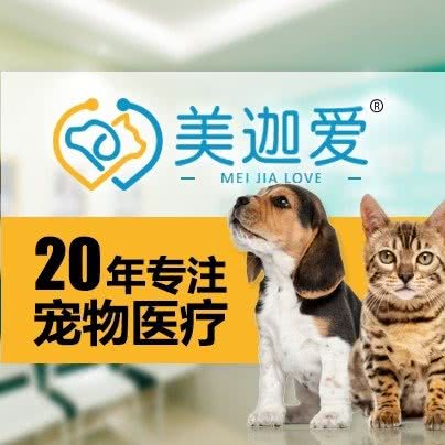 美迦爱动物医院(雨花亭分院犬类动物免疫点):长沙市雨花区雨花亭附近