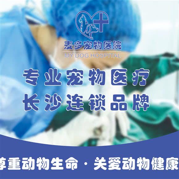 麦多宠物医院(梓园路店):长沙市雨花区梓园路/省儿童医院附近