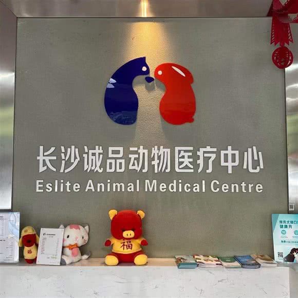 长沙诚品动物医院:长沙市雨花区桂花路/车站南路附近