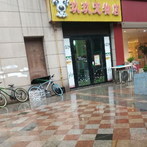 玖玖宠物店:长沙市雨花区高桥附近