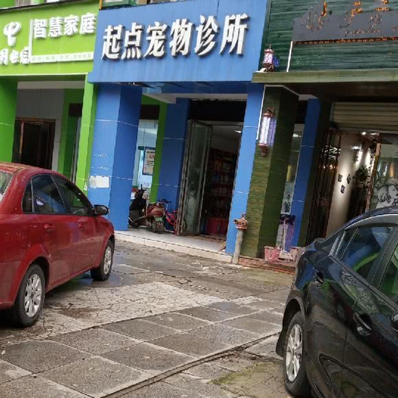 起点宠物诊所:长沙市雨花区高桥附近
