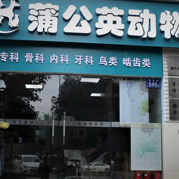 蒲公英动物诊所·牙科·异宠专科(井湾子中建桂苑店):长沙市雨花区井湾子附近