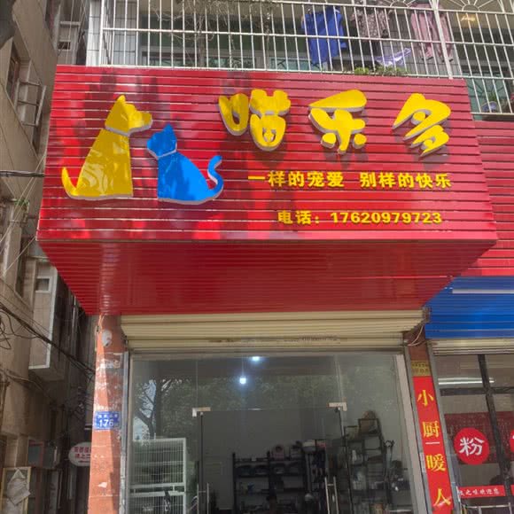 喵乐多宠物店:长沙市雨花区汽车南站附近