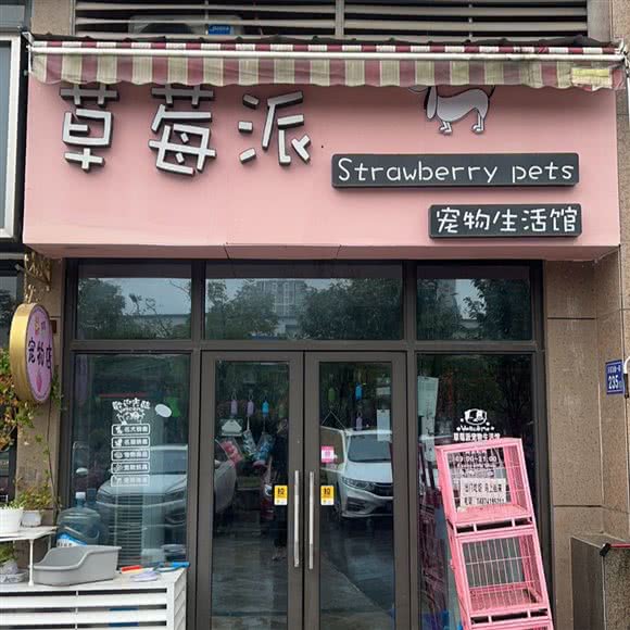 草莓派狗狗馆:长沙市望城区月亮岛附近
