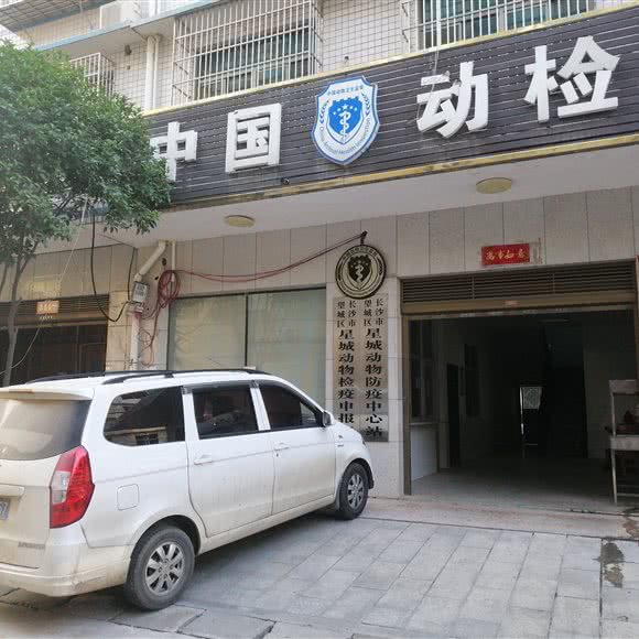 中国动检:长沙市望城区月亮岛附近