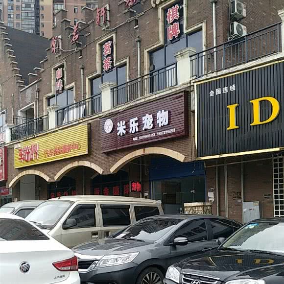 米乐宠物:长沙市望城区月亮岛附近