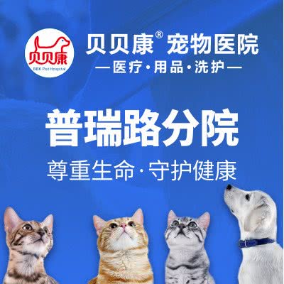 贝贝瑞宠物医院:长沙市望城区月亮岛附近