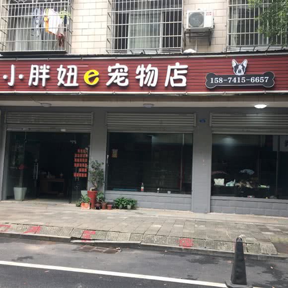 小胖妞e宠物店:长沙市长沙县长沙县附近