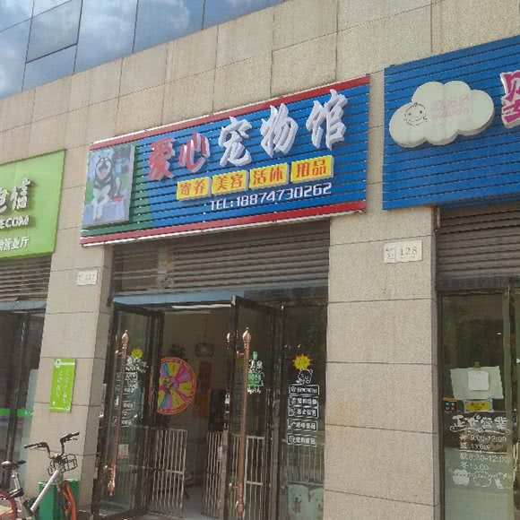 爱心宠物馆:长沙市长沙县长沙县附近