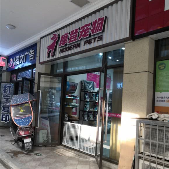 摩登宠物:长沙市长沙县长沙县附近