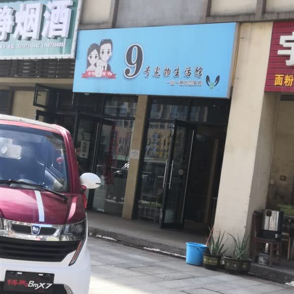 9号宠物生活馆:长沙市长沙县长沙县附近
