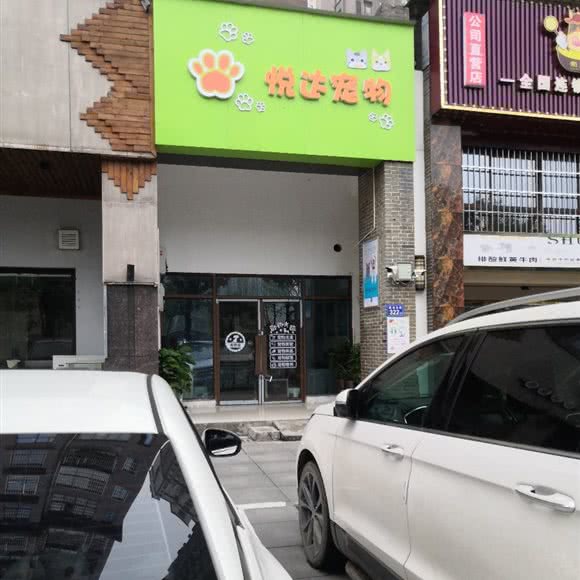 悦达宠物:长沙市长沙县长沙县附近