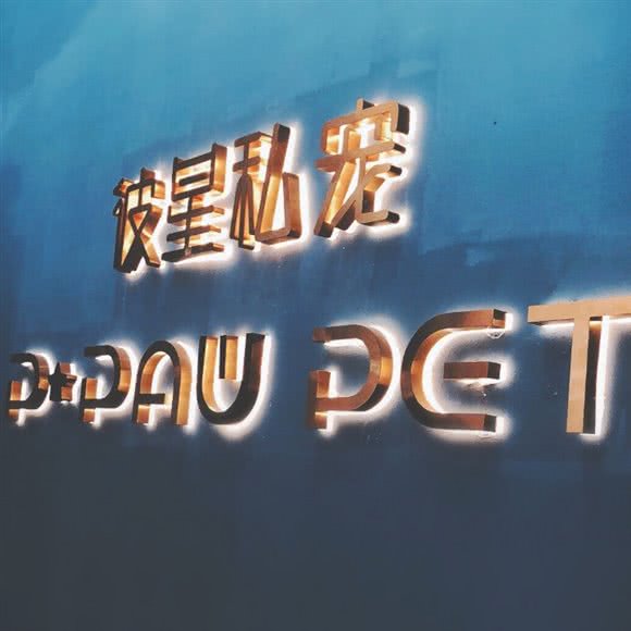 P?Paw pet彼星私宠:长沙市长沙县长沙县附近