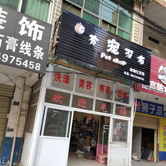 有宠没有狗狗生活馆:长沙市长沙县长沙县附近